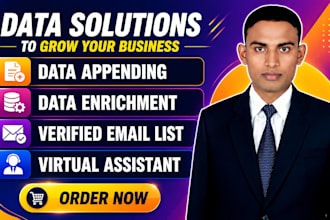 do data appending, data enrichment and lead research
