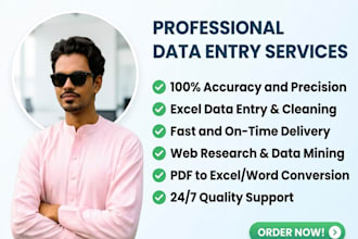 accurate data entry and excel work
