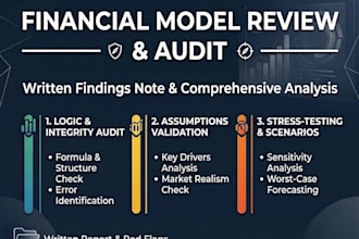 review, audit and fix your excel financial model with a findings note