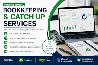 provide professional bookkeeping and catch up services