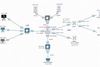 design and configure your networking projects in packet tracer and eveng