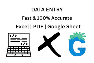 fast and accurate data entry, excel, and copy paste