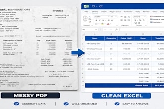 do financial data entry and PDF to excel conversion