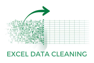 do excel data cleaning, formatting and transformation