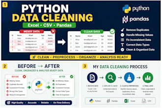 clean and preprocess your data using python