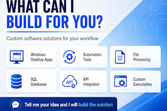 develop a custom csharp desktop application for windows