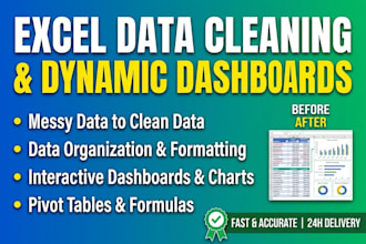clean, organize, and transform messy excel data into dynamic dashboards