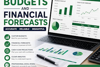 prepare professional budgets and financial forecasts