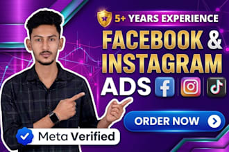 do facebook ads campaign,instagram ads campaign, campaign setup and manage