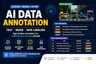 provide accurate ai data annotation and labeling services