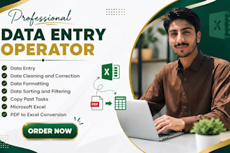 be your professional data entry operator