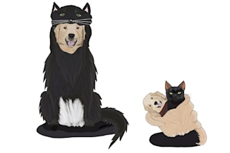 create whimsical character illustrations