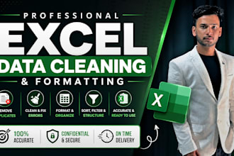 professionally clean, format and organise your excel data