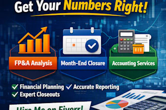 deliver as fractional cfo and fpna expert