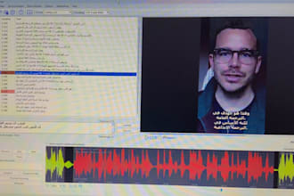 manually subtitle videos and with an srt file in english and arabic