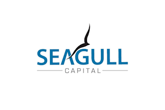 design a modern falcon, eagle, owl, or phoenix bird logo