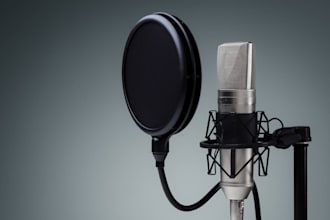 record a professional urdu voice over for your project
