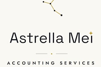 provide professional bookkeeping and accounting support