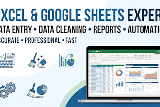 do excel data entry, cleanup, reports, and google sheets automation