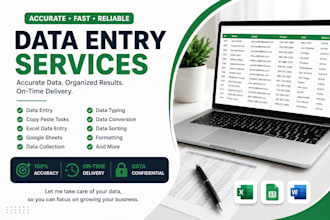do accurate data entry, copypaste, excel and web data entry
