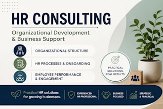 provide HR consulting and organizational development support