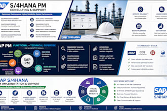 provide sap s4hana pm consulting, configuration and support