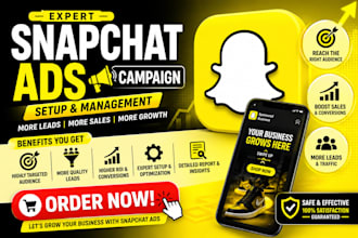 setup and manage snapchat ads campaign for leads and sales