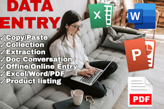 do professional data entry copy paste and web reaserch