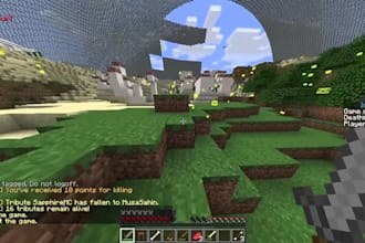 develop custom minecraft plugins mods and addons for java or bedrock