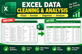 clean, format, analyze and organize excel data