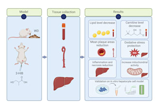create a professional scientific graphical abstract