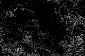 design sounds, music and ambience for a horror game or film