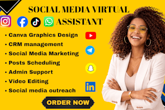 personal executive virtual assistant social media manager ai ghl va admin reels