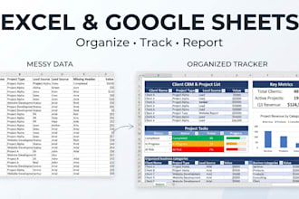 organize your google sheets or excel business tracker
