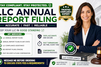 file your llc annual report and annual filing with boi report for USA states