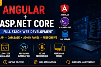 develop a professional angular and asp net core web application