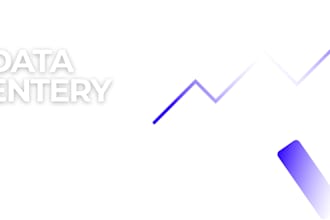 do professional excel data entry and copy paste work