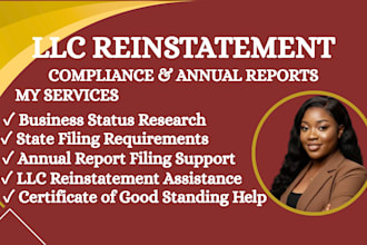 help reinstate your llc and prepare annual report filings