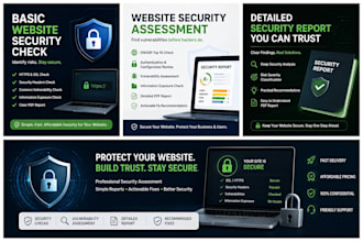 perform a website security assessment and penetration testing