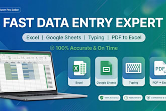 do data entry, excel work, google sheets and typing work fast