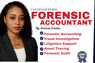 do forensic accounting, fraud investigation, financial analysis financial report