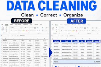 create, clean and format excel spreadsheets