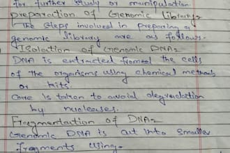 do neat and hand written notes in english urdu