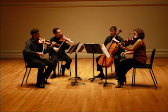 record live string section, violin, viola, cello and contrabass for your project