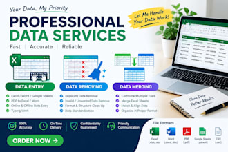 do data entry, excel data cleaning, formatting