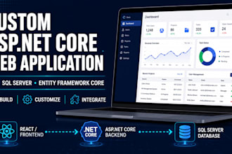 build a custom asp net core web application