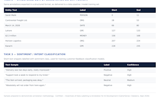 do data labelling and annotation for ai and machine learning