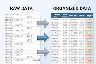 do excel data entry and data organization