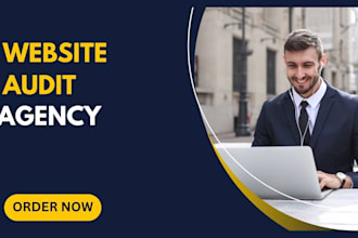 audit and optimize your shopify store professionally