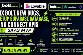 fix bolt new bugs, setup supabase database, and connect apis to saas mvp